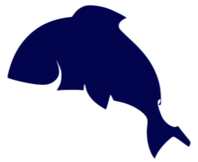 Luxurious & Cool Watches Gift